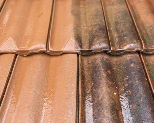 Tuiles-CHASSIEU-APRES