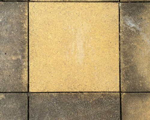 Photo d'un carreau isolé parfaitement nettoyé au milieu d'une terrasse très sale