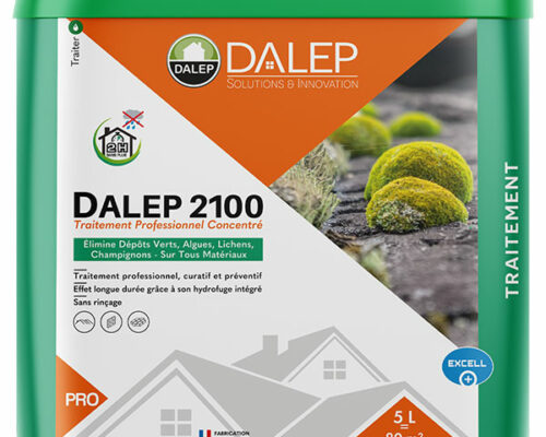 Dalep 2100